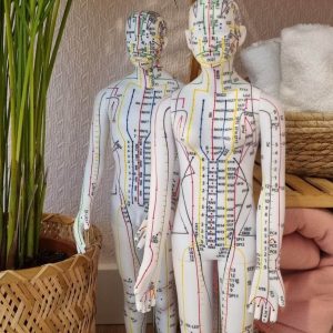 Marlène Ronsin Praticienne Shiatsu Saint Étienne De Montluc12